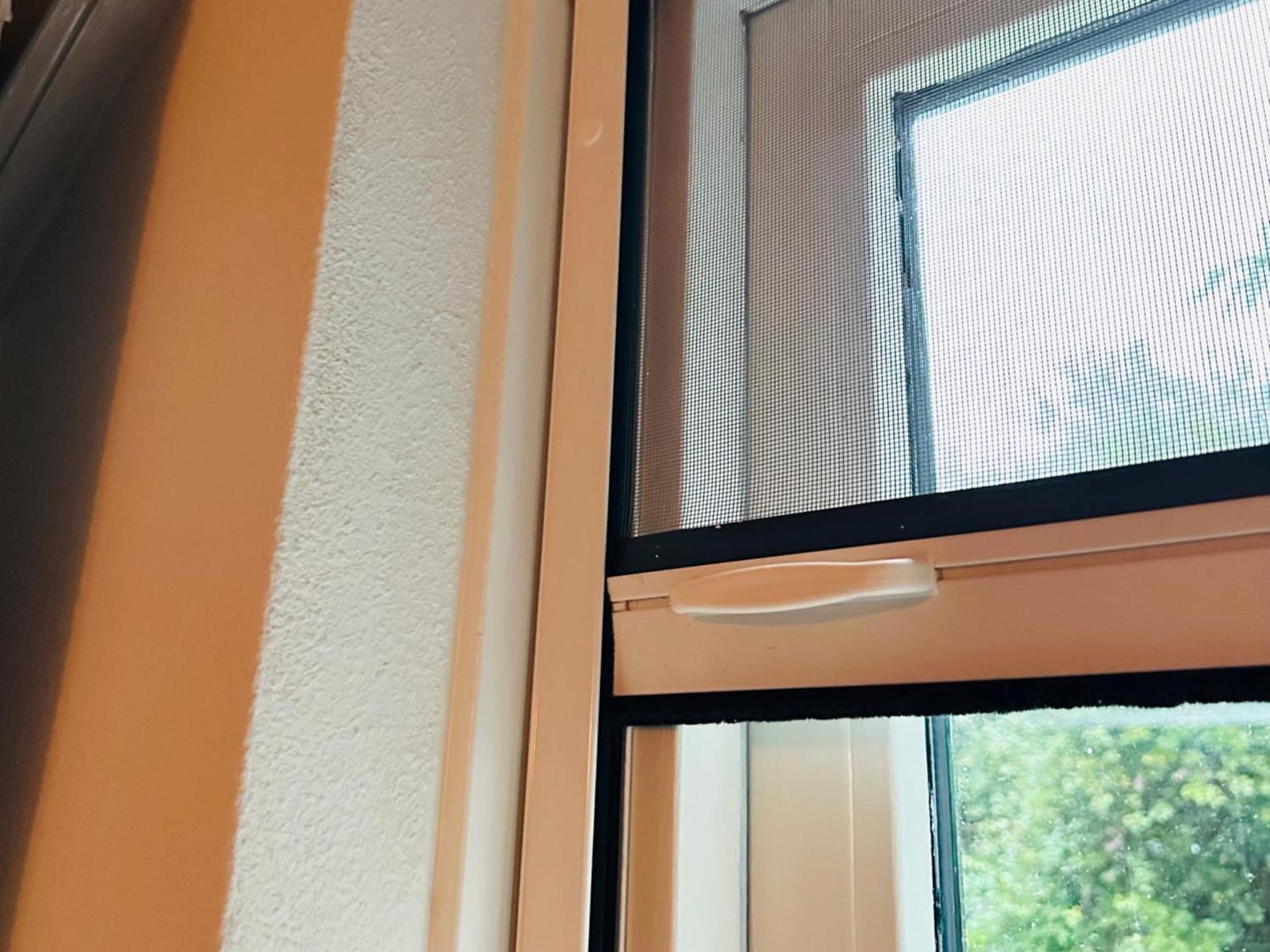 Supergezellig Vakantiehuis Met Hele Grote Tuin Bij Nijmegen Ewijk Exteriér fotografie